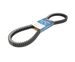 Cinghia trapezoidale, variatore DAYCO XTX1006