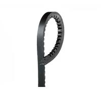 Cinghia Poly-V GATES XPA975