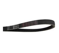 Cinghia Trasmissione 16.6x792 .6x797 Per 2 Tempi Per Yamaha JOG50 JOG90 3KJ 3YK ZR50 EVO. QJ50 2JA Per Vento ZIP TNG LS49 SKIF 50 Cinghia trapezoidale(3B3 16.6X797)