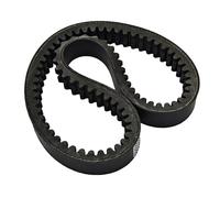 Cinghia Trasmissione Cinghia Trasmissione Codlice EPCOUR027 B3221AA1116 Per Bellier Per XLD Per Divane Per Chatenet Per Media Per Barooder Per Stella Per JDM