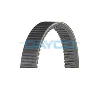 Cinghia High Performance Extreme DAYCO HPX5009