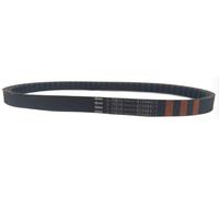 Cinghia Trasmissione Dentata Piaggio Free 100 4t