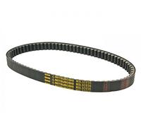 Cinghia trasmissione Mitsuboshi Nº.173