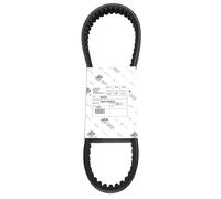 CINGHIA TRASMISSIONE ORIGINALE PER PIAGGIO TYPHOON 4T 2V E3 125 2010-2014