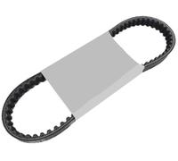 Cinghia Trasmissione Originale Sfera 50 1994 1995 1996 1997 1998
