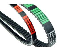 TECNIUM Cinghia di trasmissione standard