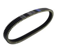 Cinghia Trasmissione Per Can-Am Ryker STD900 STD 900 Rally ACE 2019 2020 2021 Sostituzione OEM 422280655 417300571 Cinghia trapezoidale