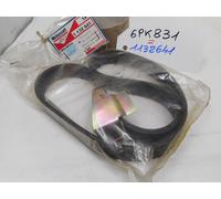 Cinghia trasmissione tipo Poly-V Ford Transit motore 2000 diesel duratorq