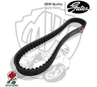 CINGHIA TRASMISSIONE VARIATORE PEUGEOT VIVACITY 50 3 2T 2008 - 2018