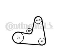 Cinghia V A Coste Continental CTAM 7PK1125K1 Set Per Renault
