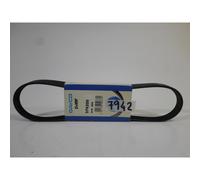 CINGHIA V-RIBBED BELT ORIGINALE DAYCO PER FOR ALFA ROMEO 155 PEUGEOT 306