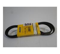 CINGHIA V-RIBBED BELTS ORIGINAL RHIAG PER FOR RENAULT 19 II 1992 - 1995