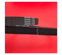 Cinghia Variatore 1PCS Cintura Trasmissione A Cinghia Per Tapis Roulant PJ556 8 Costole Cintura In Gomma Multi-scanalatura Multi Cuneo Tapis Roulant Motor Bike Fitness Cinghia Trapezoidale