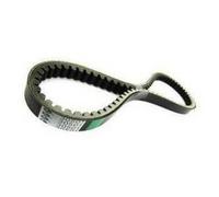 Cinghia Variatore DAYCO Vespino Al-Alx-Nl-Sc Dentata: Moto Motore