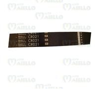 Cinghia variatore trasmissione b3211aa1022 021 tasso bingo domino