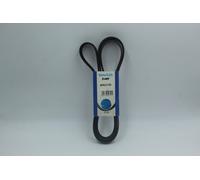 CINGHIA VENTILATORE DAYCO 6PK2145