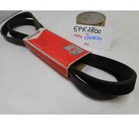 Cinghia ventola motore Tipo Poly-V Ford Escort Granada Scorpio Transit 1990-1994