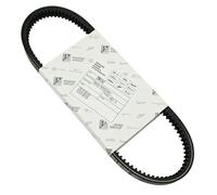 CINGHIA VESPA 50 FL2 AUTOMATICA PIAGGIO