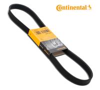 Cinghie A V D'Originale Continental Per VW Golf Polo Seat Leon Octavia Citroën