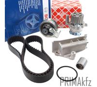 Cinghie Bosch + Ruoli + Ammortizzatore Tensionamento + Febi Wapu per Audi VW 1.9