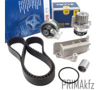 Cinghie Bosch + Ruoli + Ammortizzatore Tensionamento + Meyle Wapu per Audi VW