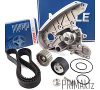 Cinghie Bosch Ruoli + Meyle Wapu per Fiat Ducato 2.3 D JTD Iveco Quotidiano