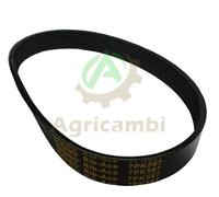 CINGHIE CINGHIA 7PK597 MOTOCOLTIVATORE Motozappa d'importazione 196cc 200 Cinta