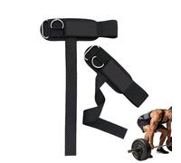 Cinghie da presa per sollevamento - Impugnatura Fitness con Supporto,Cinturini per Trazioni e Sollevamento | per Bodybuilder, Stacco da, Distensione su Panca, Principianti e Professionisti