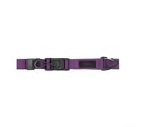 Cinghie Elastiche per Campeggio con Gancio Appendi | Fibbia magnetica, per istantaneo, , nessun filo da passare, ideale per attrezzatura(Purple)