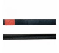 Cinghie For Lavatrice 5PJ1270 5EPJ1264 5EPJ1260 5EPJ1208 5EPJ1202 | For Lavanderia, Gomma Con Scanalatura A V, After-market, Trasmissione(5EPJ1260)