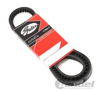 GATES Cinghia Trapezoidale 6301MC