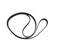 Cinghie Poly-V Cinghia Di Trasmissione Per Ventola Motore 6DPK2880 Per Porsche Per Panamera 3.0T 2014