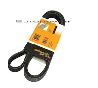 Cinghie Scanalate Conti AUDI 100 2.4 2.5 TDI FIAT LINEA PUNTO QUBA 1.3 D