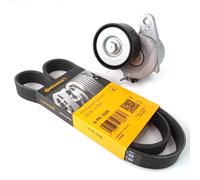 Cinghie Scanalate Conti + Galoppino per BMW Audi A1 A3 A4 VW Golf 6 7 8 Passat