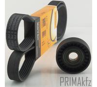 Cinghie Scanalate Conti + Galoppino per Opel Vectra C 1.9 CDTI Signum