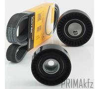 Cinghie Scanalate Conti Galoppino Puleggia per BMW 3er E36 5er E34 E39 Z3