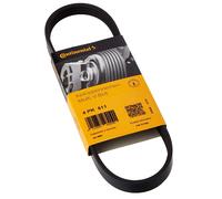 Cinghie Scanalate Conti per BMW R 850 R 1100 R 1150 R 1200