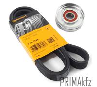 Cinghie Scanalate Conti + Rullo di Serraggio per VW Golf IV 1.4 -1.6 16V Seat