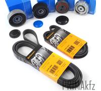 Cinghie Scanalate Conti + SKF Galoppino per Audi A4 B6 B7 A6 C5 Allroad 2.5 Tdi