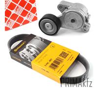 Cinghie Scanalate Conti + Tendicinghia per Audi A1 Seat Skoda VW Golf V 1.4 TSI