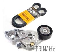 Cinghie Scanalate Conti + Tendicinghia per Audi A3 VW Bora Golf IV T5 Seat Skoda