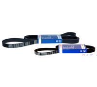 Cinghie Trapezoidali Scanalate GENERATORE + AUDI A4 A6 A8 SKODA SUPERB 3U4