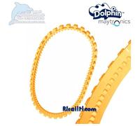 CINGOLO INTERNO A PUNTINI DI RICAMBIO PER ROBOT DOLPHIN MAYTRONICS 2001