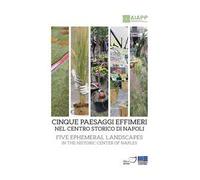 Cinque paesaggi effimeri nel centro storico di Napoli