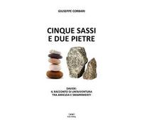Cinque sassi e due pietre. Davide: il racconto di un'avventura tra amicizia e smarrimenti