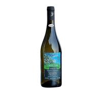 Cinque Terre Bianco Possa 2024