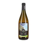Cinque Terre Bianco Possa 2025