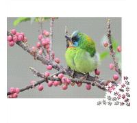 Cinque uccelli colorati Jigsaw Puzzle Impossibili 1000Pcs Ramo della frutta rossa Decorazione Per La Casa. Giochi Rilassamento E Intelligence Per Adulti E Ragazzi Da 14 Anni 1000pcs (75x50cm)