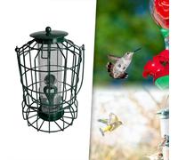 Cinta di uccelli in gabbia in metallo Terretto in PVC robusta per orologi per