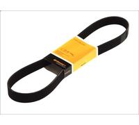 Cintura a costine a V CONTITECH 8PK1910 per 7000 7.6 1992-1997
